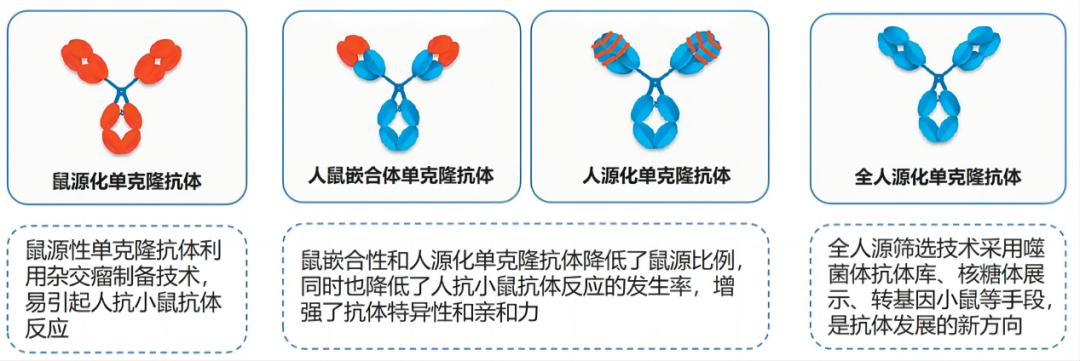 ?單克隆抗體開(kāi)發(fā)階段